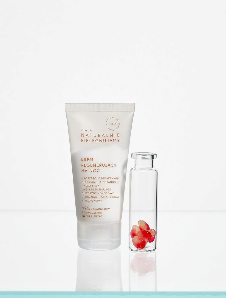 Ziaja - Naturalnie Pielęgnujemy - Krem regenerujący na NOC 50 ml / PL VERSION/ 5901887052937