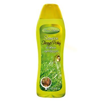 Barwa - Herbal - SZAMPON SKRZYPOWY na wypadanie włosów 480ml 5902305007393